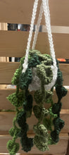 Load image into Gallery viewer, Mini Automotive Aromatherapy (Air Freshener) Hanging Plant