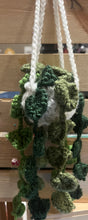 Load image into Gallery viewer, Mini Automotive Aromatherapy (Air Freshener) Hanging Plant