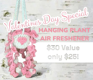 Aromatherapy (Air Freshener)Pink Valentines Day Hanging Plant